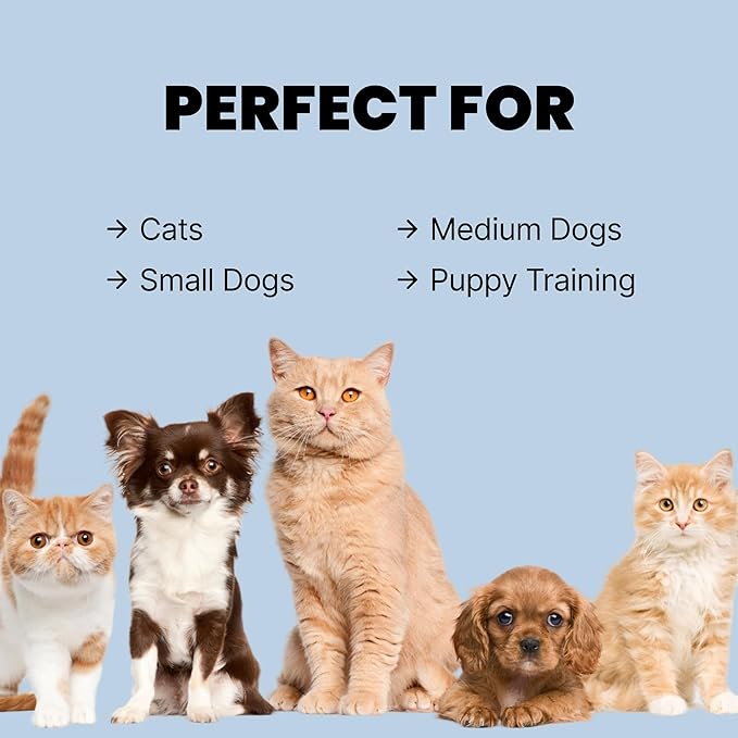 MalsiPree 2-in-1 Slow Feeder & Water Bowl Set 15 oz - Anti-Spill Silicone Mat - Stainless Steel Dish, Stainless Steel Water Bowl - Eases Digestion - Pet Gift for Cat, Puppy, Small & Medium Dog Slow