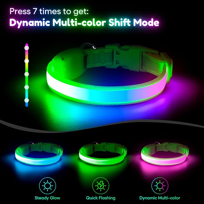Light up Dog Collar - Multi-Color LED Dog Collar, USB-C Rechargable, Flashing Collar for Cats, Puppy Dogs and Small Breeds,Waterproof and Adjustable Rainbow Collar for Dogs(XSmall)