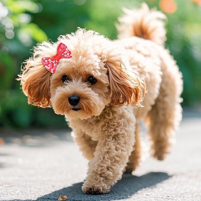 XIMA 160 Pieces Pet Hair Bows with Clips and Rubber Bands, Multicolor Puppy Dog Grooming Accessories