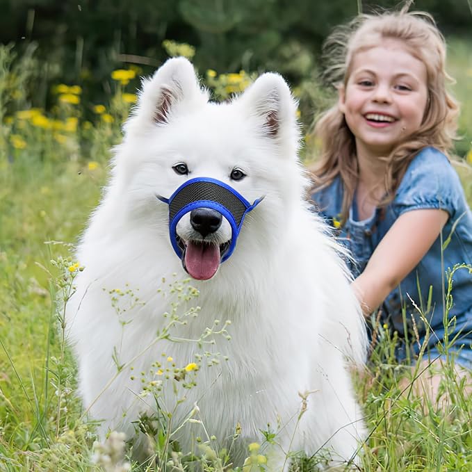 HEELE Dog Muzzle,Soft Nylon Muzzle Anti Biting Barking Chewing,Air Mesh Breathable Drinkable Adjustable Loop Pets Muzzle for Small Medium Large Dogs 4 Colors 4 Sizes (Blue, M)