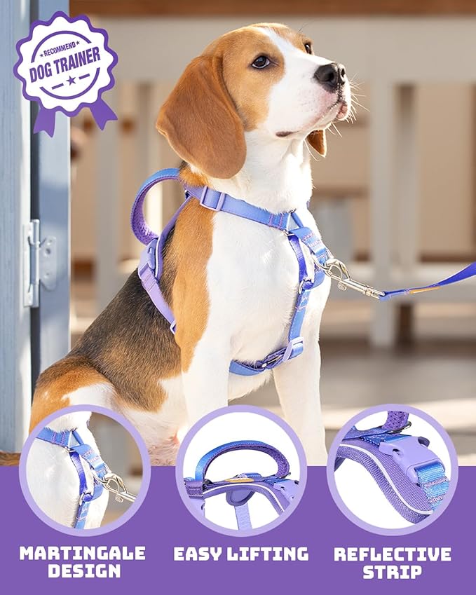 DF Freedom No Pull Martingale Dog Harness, Gentle Control for No Choking, Front Clip Harness with Reflective, Adjustable & Padded Handle for Easy Walking & Training, Rainbow, 3/4", Chest 20"-26.8"