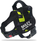 Personalized No Pull Dog Harness with Custom Name and Phone Number by PawPawify, Heavy Duty Pet Vest to Prevent Tugging, Pulling, or Choking, Training and Walking Green Doodle