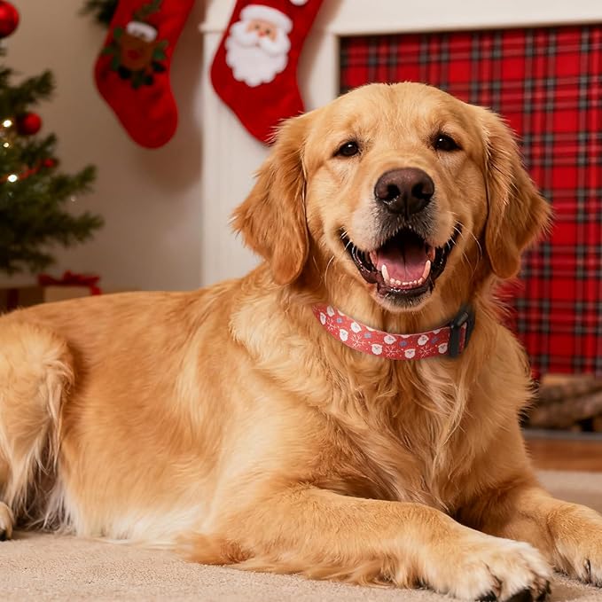 Christmas Dog Collar, Adorable Santa Claus Pattern Christmas Collar for Medium to Large Dogs - Comfortable & Cute Xmas Dog Collars, L
