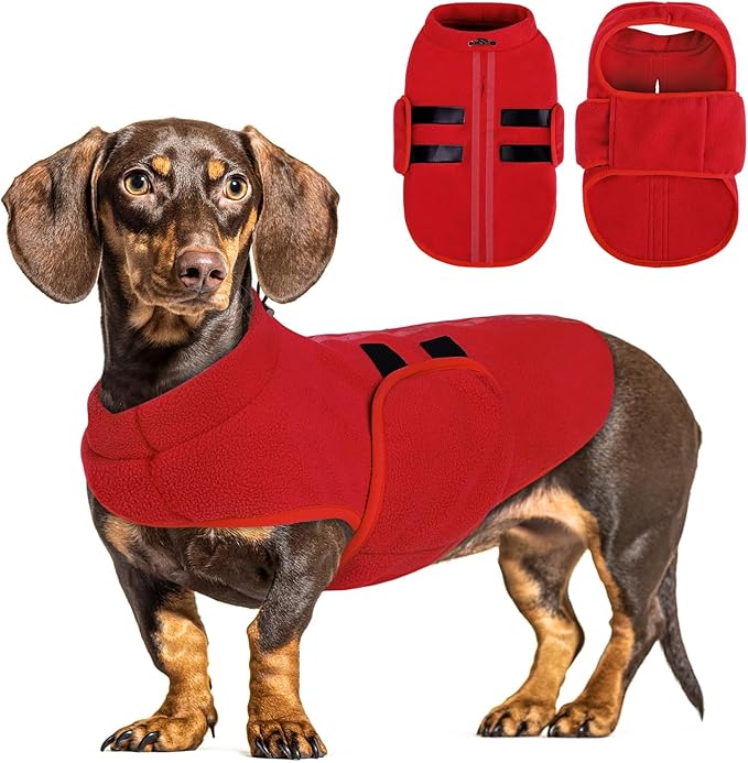 Queenmore Soft Fleece Dog Jacket, Warm Winter Dog Clothes with Leash Hole, Dachshund Sweater for Small Dogs Cats Boy or Girl (Red, S)