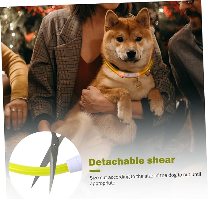 Totority Led Rechargeable Dog Collar Glow Collar for Dogs Plastic Puppy USB Cable