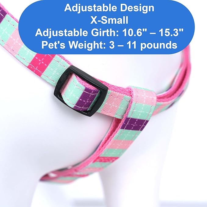 Pawtitas Personalized Dog & Puppy Harness Extra Small Teal/Pink/Purple Custom ID Tag Adjustable No Pull Vest