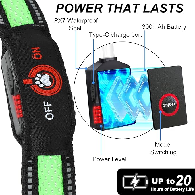Light Up Dog Collar-Rechargeable & Long-Lasting Power LED Dog Collar Lights for Night Walking, Waterproof & Safety Glowing Collars for Small Dogs [Green-S]