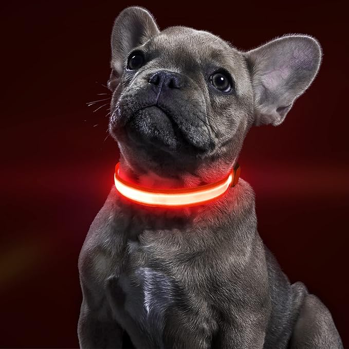 BSEEN Light Up Dog Collar, High Visibility LED Dog Collar Rechargeable Glowing Pet Collar Safety Dog Lights for Night Walking (Ruby Red, Large)