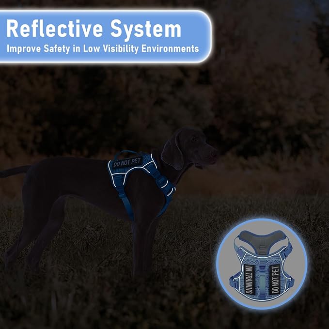 No-Pull Dog Harness for XS Dogs, Anti-Escape Easy Walking Reflective Adjustable Lightweight Dog Vest with Breathable Oxford Material, Easy On/Off with Neck Buckle, Blue XS