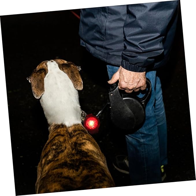 DOITOOL Pet for Dog Walking Rechargeable Led Collar Lamp for Night Visibility Outdoor Pet Light for Evening Walks and Outdoor Activities
