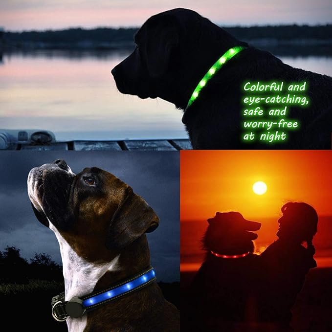 Light Up Dog Collar, Safety LED Dog Collars Rechargeable 7 Colors in One Lighted Dog Collar Glow in The Dark Dog Walking Light, Neon Durable Nylon Adjustable Buckle for Small/Medium/Large Dogs,XS Size