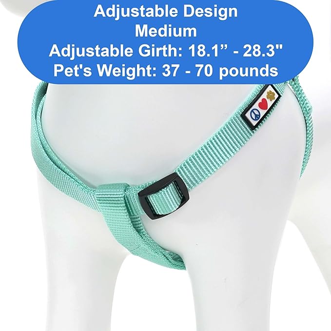 Pawtitas Personalized Dog & Puppy Harness Medium Teal Custom ID Tag Adjustable No Pull Vest