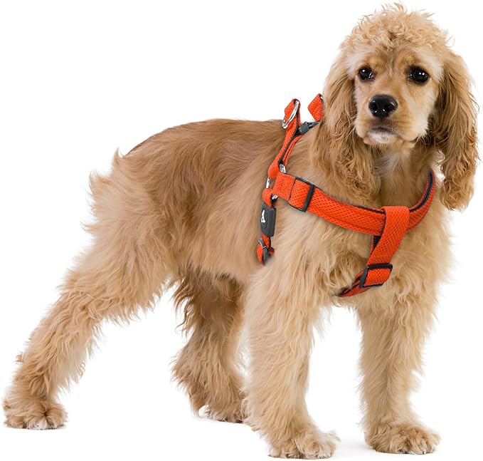 Kruz No Pull Dog Harness (Chest 21”-30”, Weight 23-53 lbs) Heavy-Duty Pet Harness for Medium Breeds, Ultra-Comfort Fit, Lifetime Durability, Adjustable Dog Harness No Pull Design (Orange, Medium)