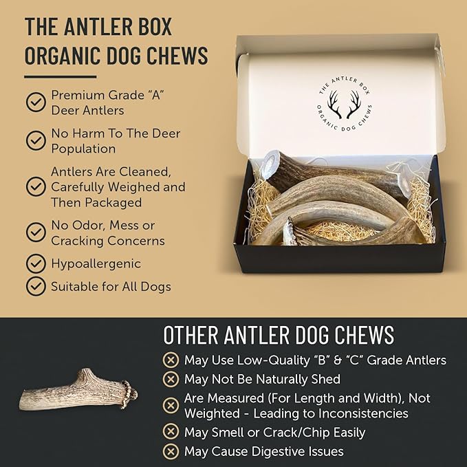 The Antler Box Premium Deer Antler Dog Chews (1 lb Bulk Pack) (Medium (5 Antlers/lb)…