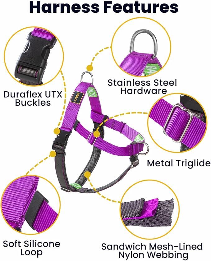 Freedom No Pull Dog Harness for Large Dogs, Easy Walker, Anti Pull with Two Stainless D-Rings, Comfortable, Sewn-in Instructions Tags for Easy Use (Purple, XL)