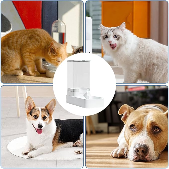Generic Automatic Dog Cat Water Dispenser - Pet Feeder and Water Dispenser Set | Dog Cat Water Dispenser Feeder for Waterer Food Large Capacity, Food Feeder and Waterer Set with Pet Food Bowl, WHITE