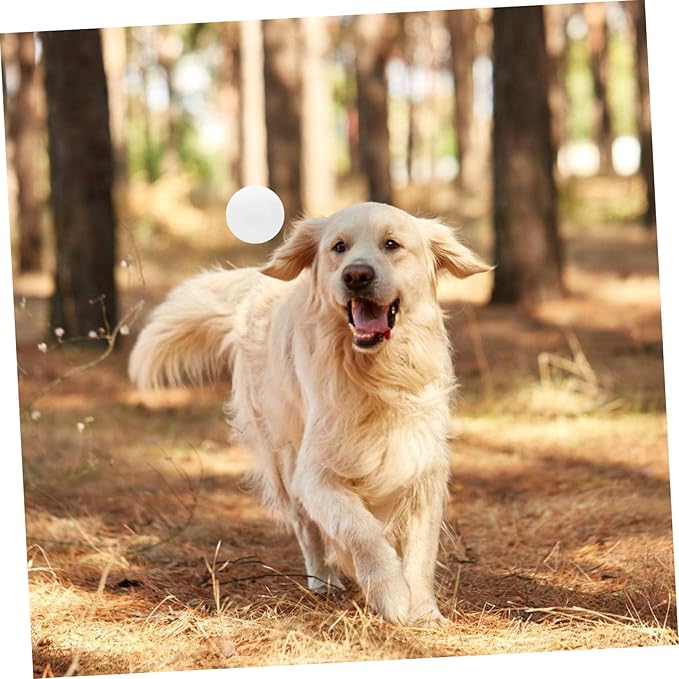 Toyvian Scent Training Tool for Dogs Agility Equipment for Nose Work and Scent Games User-Friendly Design for Engaging Dog Training Sessions