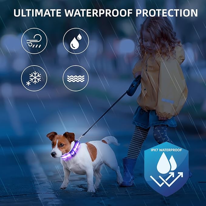 LED Dog Collar for Small Dogs Cats - Fully Waterproof & Adjustable Glow Collar - USB-C Rechargeable for Night Walking, Safety - Flashing Lighted Collar for Dogs(Purple,XS)
