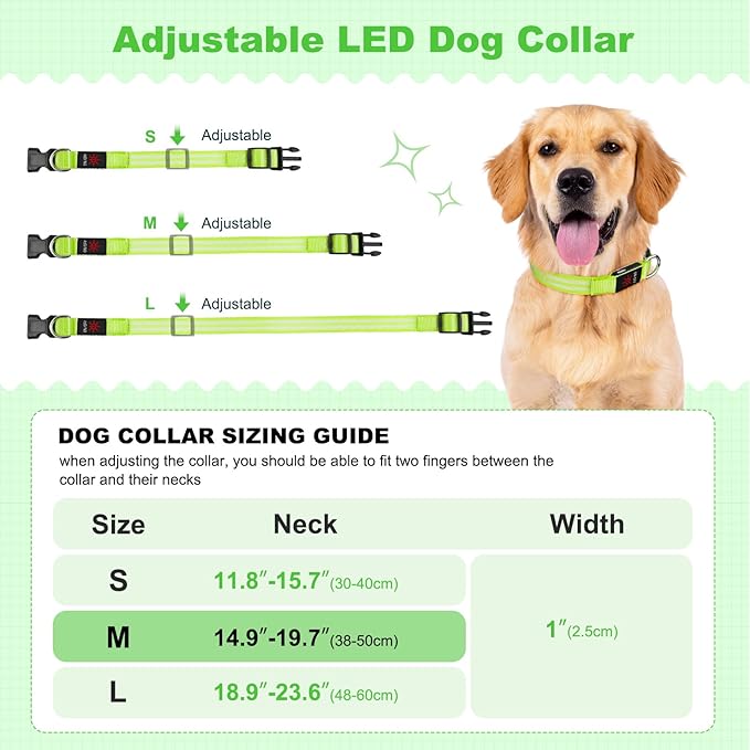 Illumifun Lighted Dog Collars for Night, USB Rechargeable Light Up Dog Collar, Water-Resistant LED Dog Collar Glow in The Dark (Green, Medium)