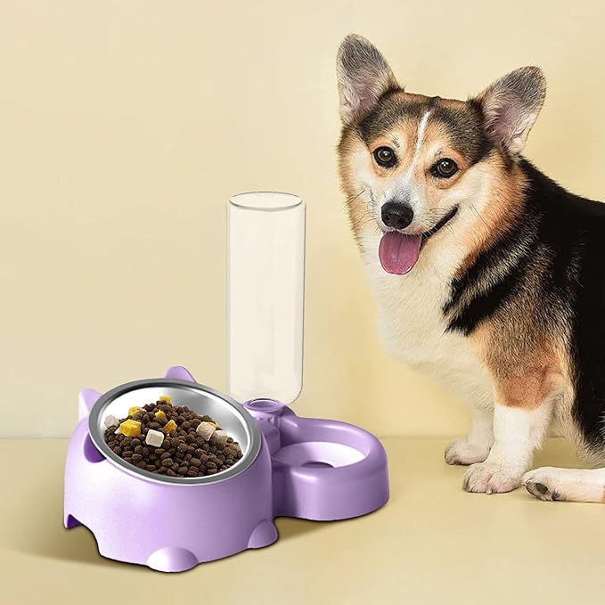 Cat Food and Water Bowl Set, Automatic Dog Dish Bowl with Water Dispenser, Removable Drinking and Eating Bowls, No-Spill Pet Feeder for Puppy, Medium Dogs & Cats (Purple)