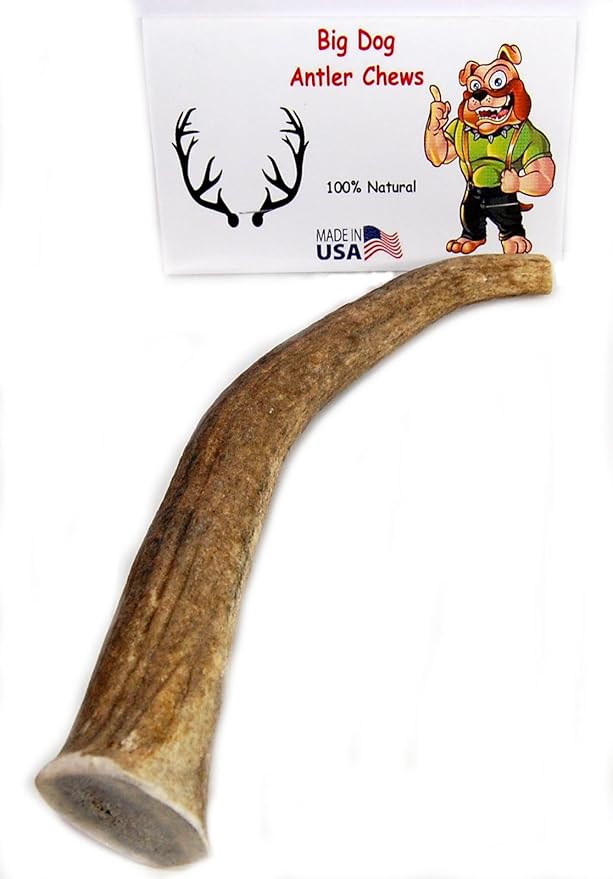 Elk Antler Dog Chew, Extra Large Tine, 8-12 inches, XL - Great for Large Dogs and Puppies