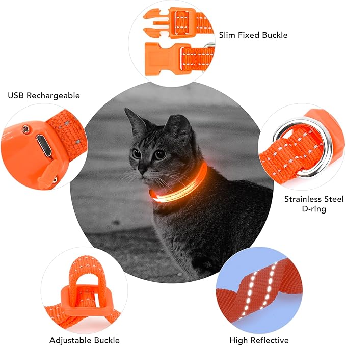 Light up Dog Collar for Small Dog,Vizpet XS Adjustable Size Nylon Collar USB Rechargeable Bright Safety Pet Collar for Cats Dogs (Orange)