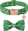 St. Patrick's Day Dog Collar with Bow Tie, Cotton St. Patrick's Day Bowtie Collar for Girl Boy Dog, Lucky Shamrock Dogs Collars with Metal Buckle, Spring, L, Neck 16-24in
