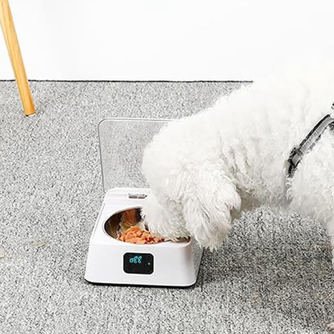 Automatic Pet Feeder, Cat Food Dispenser with Infrared Sensor and Removable Bowl, Smart Pet Feeder for Cats, Rabbits & Small Dogs