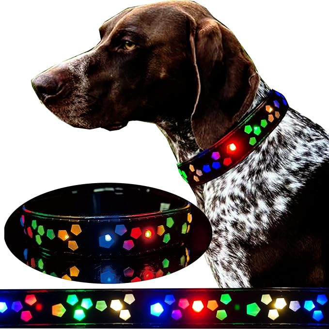 Subversive USB-C led Light up Dog Collar,Star Running LED Design Comfortable and Soft Material,Multicolored Lighting (Black, M(11.8-15.7"))