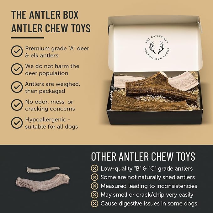 The Antler Box Premium Elk Antler Dog Chews (1 Pound Box) (Large (3 Pieces) Split Only)
