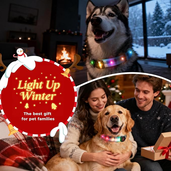 Light Up Dog Collar, LED Dog Collar Glow in The Dark - USBC Rechargeable, 3 Flashing Modes Adjustable Glow Collar, Safety Fashionable Cute Dog Light Up Collars for Medium Large Dogs White
