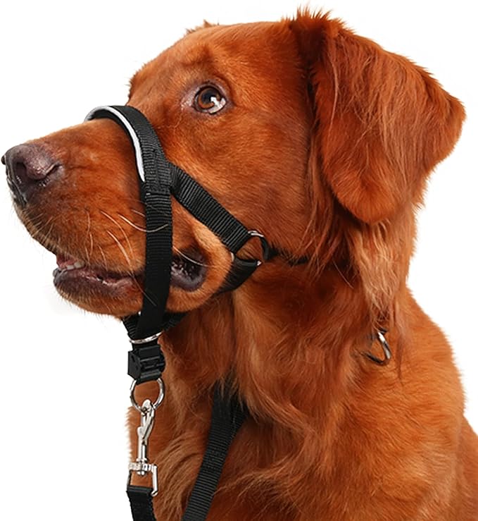 BARKLESS Head Collar for Dogs, No Pull Dog Nose Leash for Small Medium and Large Dogs, Dog Head Halter That Prevent Pulling for Easy Control on Walks (M (Snout 6 ¾-8 ¾"), Black)