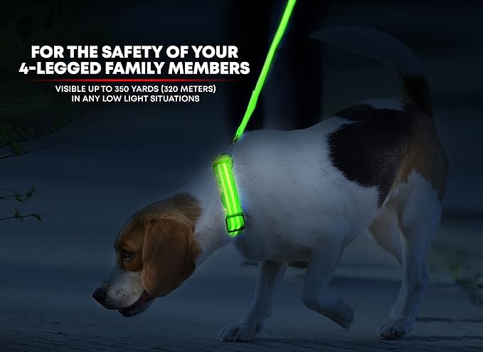 ILLUMISEEN LED Dog Collar USB Rechargeable - Bright & High Visibility Lighted Glow Collar for Pet Night Walking - Weatherproof, in 6 Colors & 6 Sizes (Green XX-Small)