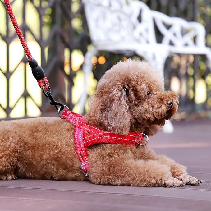 Plutus Pet No Pull Dog Harness with Breathable Mesh Padded, Adjustable Reflective Escape Proof Dog Harness, Quick Fit Dog Vest Harness for Small Medium Large Dogs(XXS, Red)