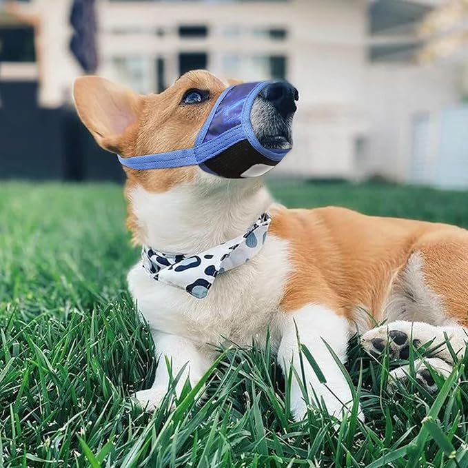 HEELE Dog Muzzle,Soft Nylon Muzzle Anti Biting Barking Chewing,Air Mesh Breathable Drinkable Adjustable Loop Pets Muzzle for Small Medium Large Dogs 4 Colors 4 Sizes (P-Sky Blue, L)