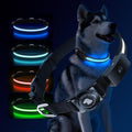 LED AirTag Dog Collar - Brightest Light Up Dog Collars - IP68 Waterproof Air Tag Dog Collar Holder - 1,600 Feet of High Visibility - Magnetic Charging - Dog Lights for Night Walking, Black XL