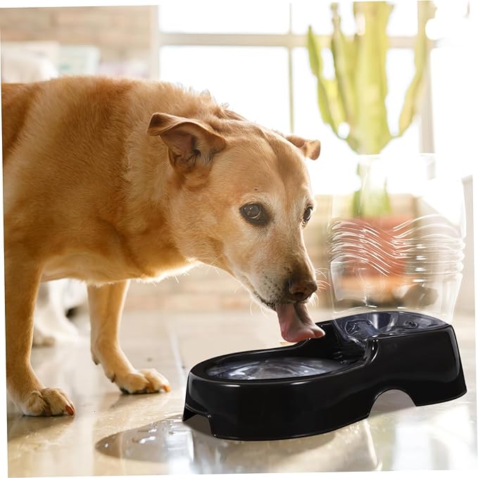 GANAZONO Automatic PET Water Dispenser for Cats and Dogs 900ml Healthy Waterer Standard Filter PET Fountain Water Feeder Random Color