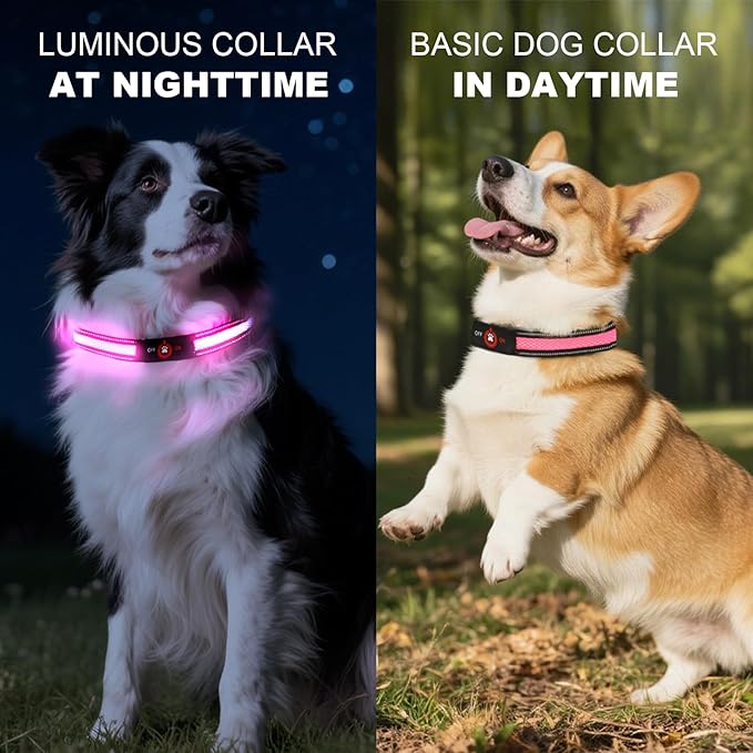 Light Up Dog Collar-Rechargeable & Long-Lasting Power LED Dog Collar Lights for Night Walking, Waterproof & Safety Glowing Collars for Medium Dogs [Pink-M]
