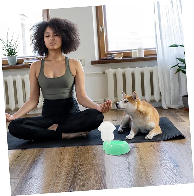 NOLITOY 1set Automatic Pet Water Feeder for Dogs and Cats Capacity Drinking Fountain Lightweight Portable Water Dispenser for Home and Outdoor Use Easy to Design