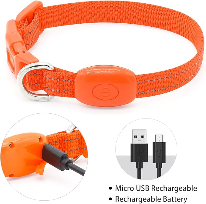 Light up Dog Collar for Small Dog,Vizpet XS Adjustable Size Nylon Collar USB Rechargeable Bright Safety Pet Collar for Cats Dogs (Orange)