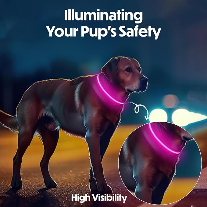 Light Up Dog Collar – Reflective, Adjustable & Rechargeable Electronic Glow Pet Collars – Bright, Comfortable, High Visibility LED Dog Collar for Night Safety, Outdoor Walk, Flashing Fun, Pink, Medium