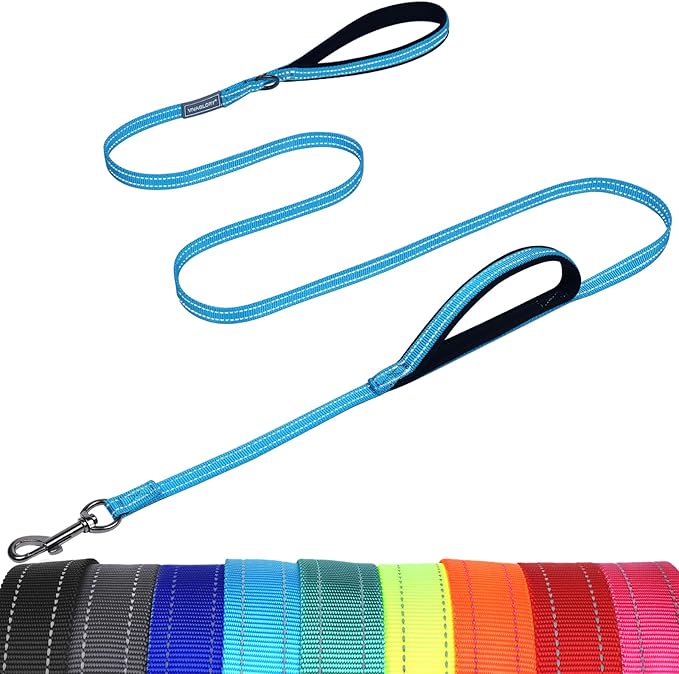 VIVAGLORY Twingrip Dog Leash, Double Handle Dog Leash for Training & Walking with Traffic Handle & 2 Loop, Traffic Control Reflective Heavy Duty for Puppy Pet, 6ft x 1/2in, Lake Blue