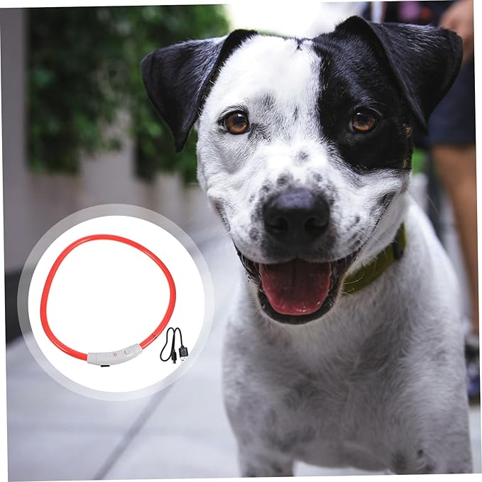 USB Rechargeable Dog Collar Light Flashing Pet Collar for Night Walking