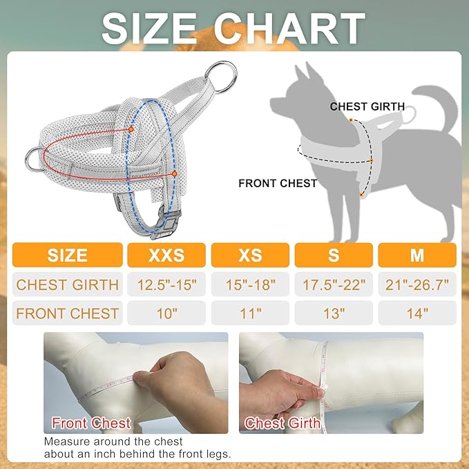 BEAUTYZOO Dog Harness for Small Dogs, No Pull Dog Harness and Leash Set, Soft Escape Proof Puppy Vest Harness with Handle, Reflective Lightweight Step in Harness for Girl Boy Dogs, Pink S