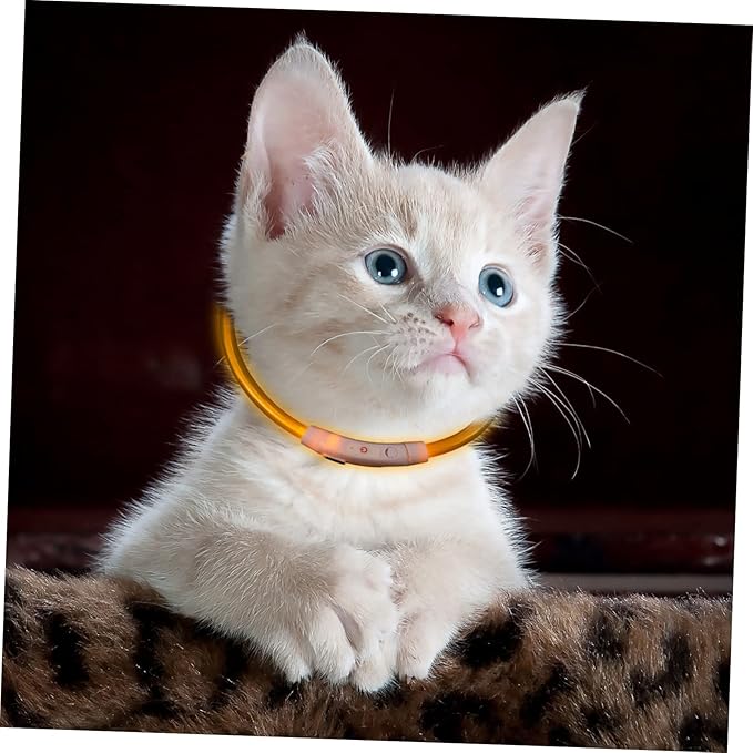 Yardwe Led Dog Collar Flashing for Night Safety USB Rechargeable Pet Collar Clip Reflective Harness for Dogs Puppies