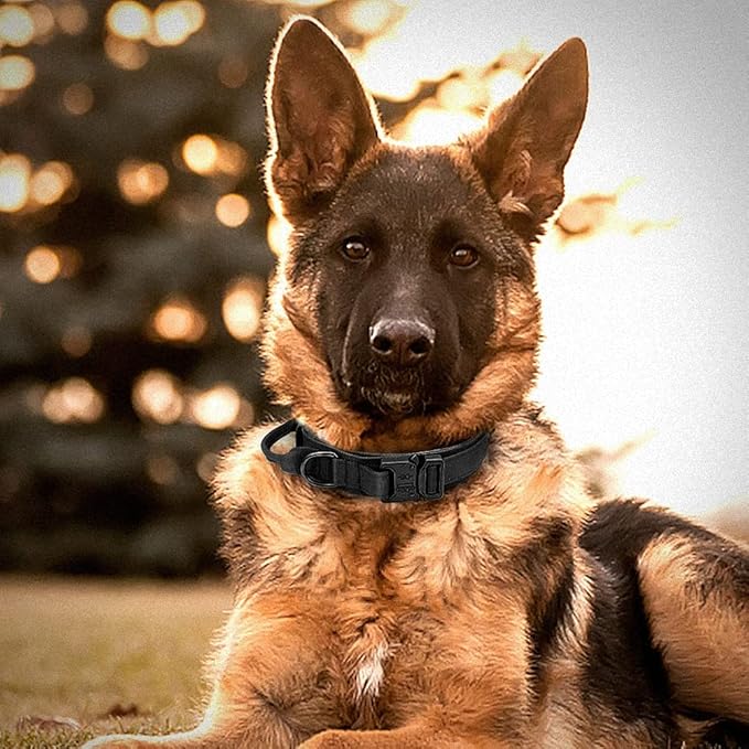 Military Tactical Dog Collar Leash German Shepard Medium Large Dog Collars Lead for Walking Training Dog Collar Control Handle Black XL