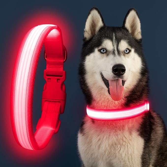 YFbrite Light up Dog Collar, USB Rechargeable LED Puppy Collar Super Bright Adjustable Glowing Dog Lights for Night Walking (Design 2- Pink, Small)