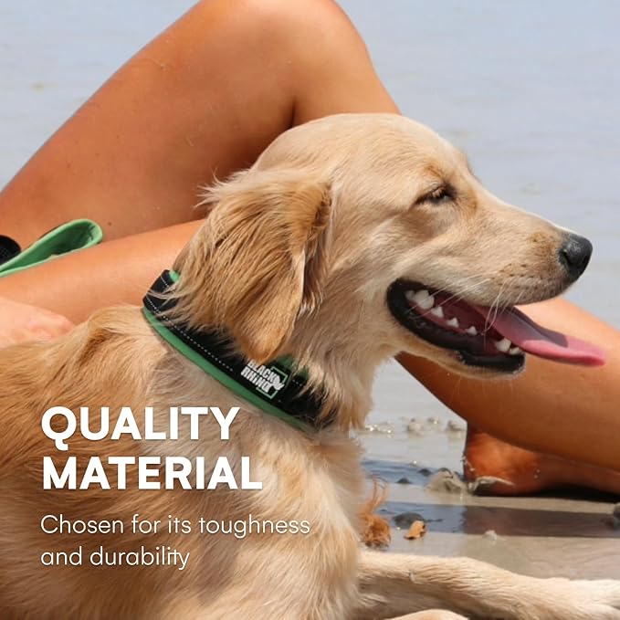Black Rhino Dog Collar for Medium Dogs - Adjustable Reflective Heavy Duty Dog Collar with Ultra-Soft Neoprene Padding - Weatherproof, Durable, and Comfortable - Ideal for Active Dogs - Green and Black