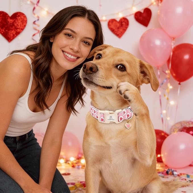 Lionheart glory Valentine's Day Dog Collar - Pink Heart Dog Collar Adjustable Soft for Medium Girl Boy Dogs Spring Party Holiday Pet Collars