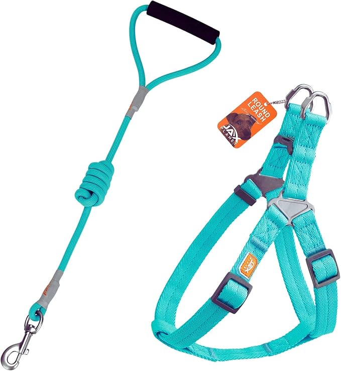 Dog Harness and Leash - Comfortable Leash and Harness for Small, Medium, Large Dogs - Perfect for Training, Includes D-Ring